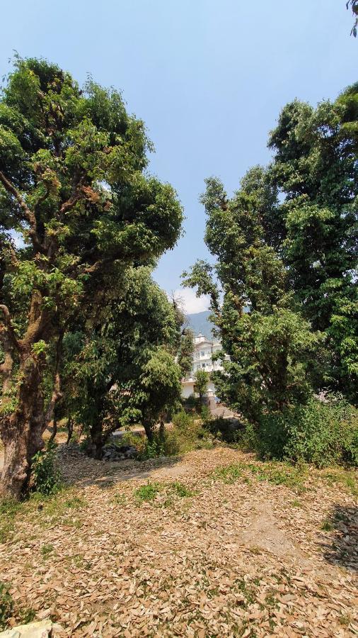 Nomadic Inn Dharamshala Exterior foto